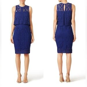 Saylor lace overlay Betsy sheath dress in royal blue size S